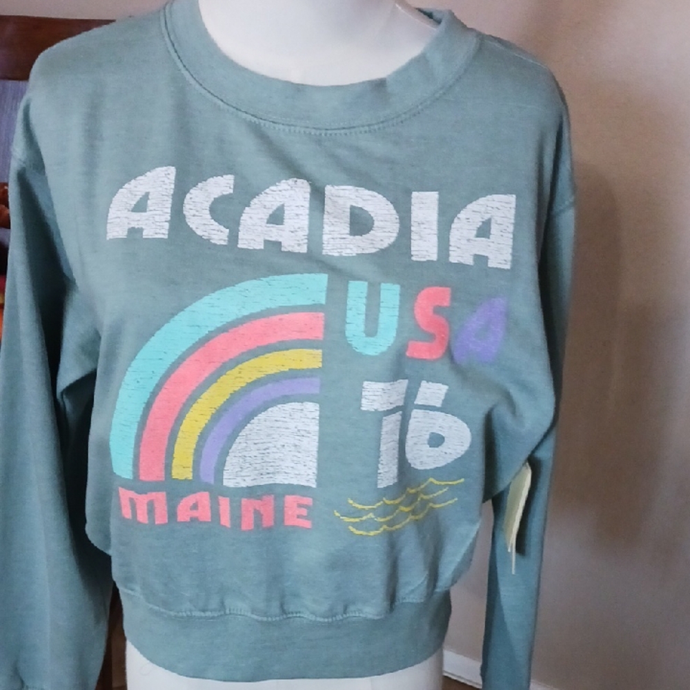NWT POP SURF- Acadia Graphic Sweatshirt